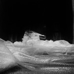 活物_攝影Willy Yang_11