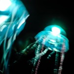 飛人集社大海呀大海劇照-莊坤儒 (7)